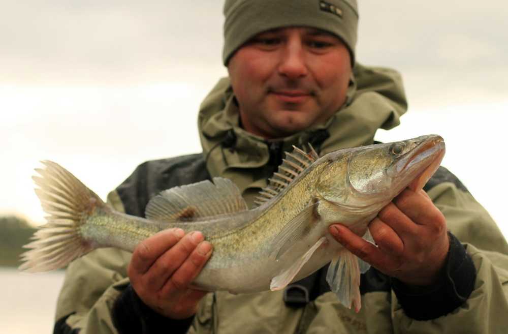 wisła warszawa sandacz